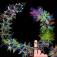 Spiroids